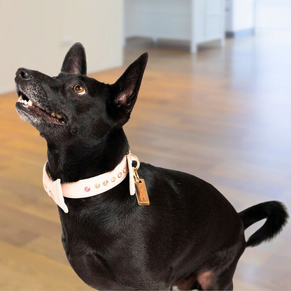 Bruni Boi Muse Nude Beige Leather Dog Collar