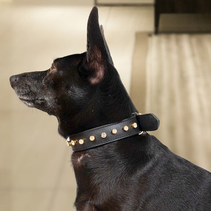 Bruni Boi Noir Black Leather Dog Collar