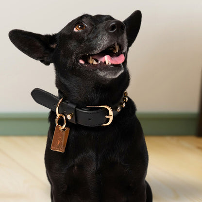Bruni Boi Noir Black Leather Dog Collar