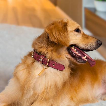 Bruni Boi Royale Fuchsia Pink Leather Dog Collar