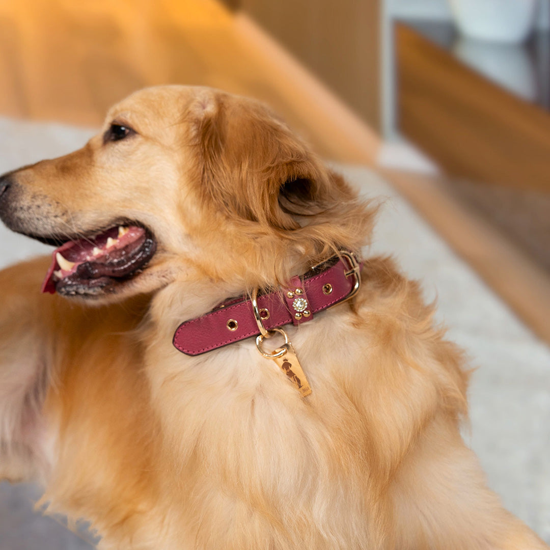 Bruni Boi Royale Fuchsia Pink Leather Dog Collar