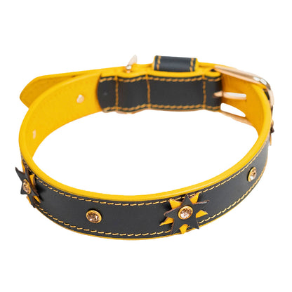 Bruni Boi Starstruck Black Leather Dog Collar