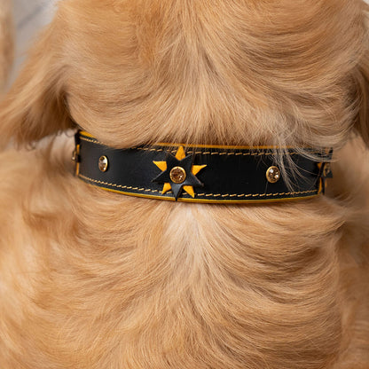 Bruni Boi Starstruck Black Leather Dog Collar