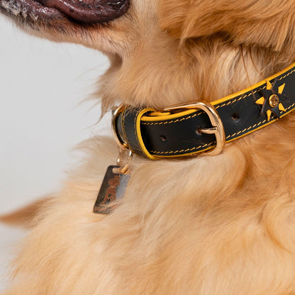 Bruni Boi Starstruck Black Leather Dog Collar