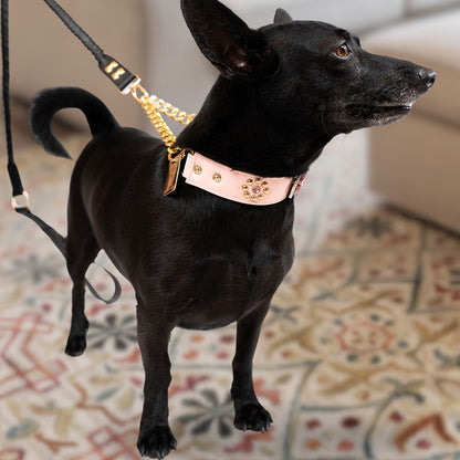 Bruni Boi Tiara Blush Pink Leather Dog Collar