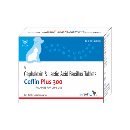 CEFLIN PLUS 300 TABLET - Animeal