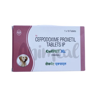CEFPET XL TABLET - Animeal