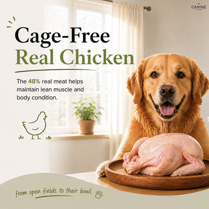 Canine Creek Adult Dry Dog Food, Ultra Premium - 3kg