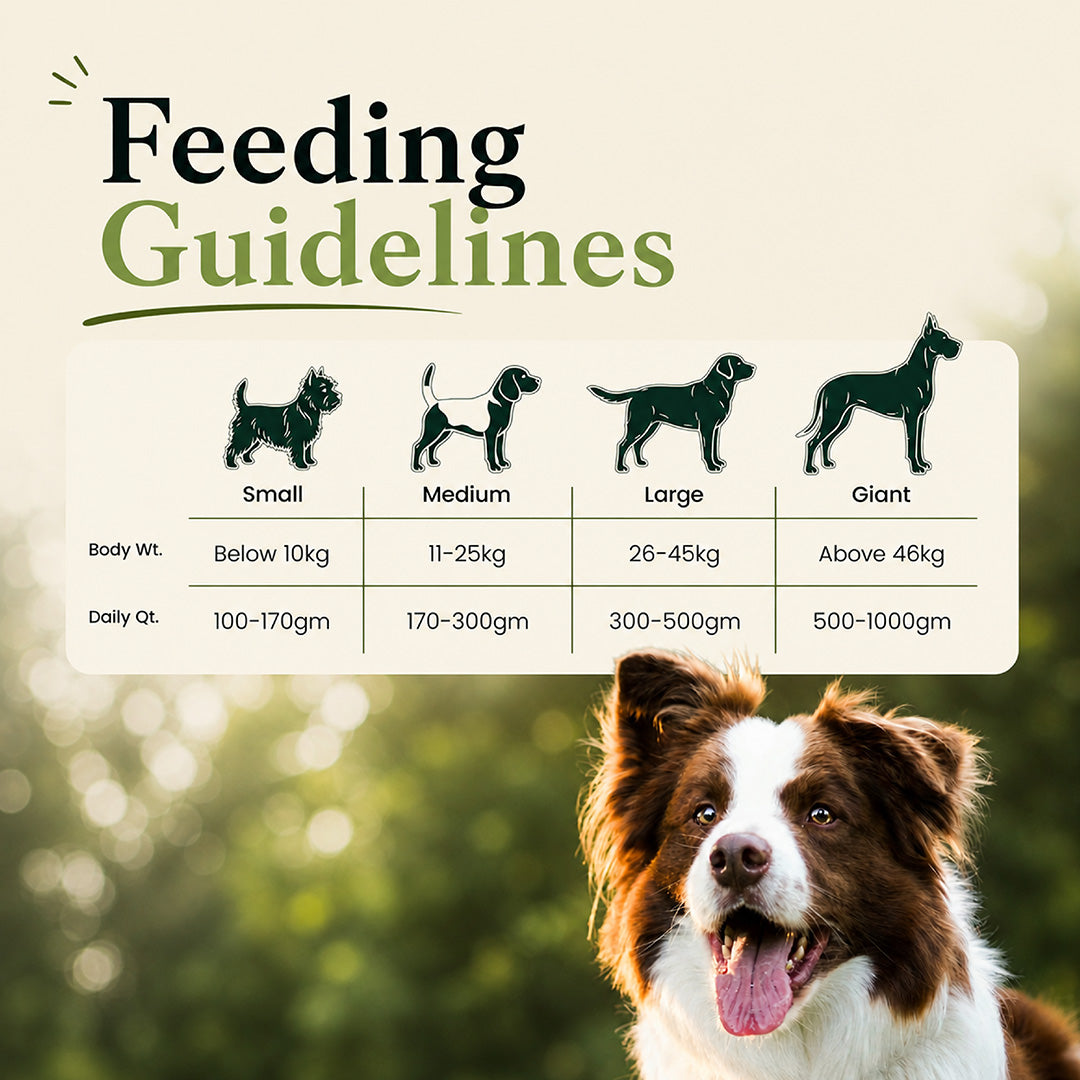 Canine Creek Adult Dry Dog Food, Ultra Premium - 3kg