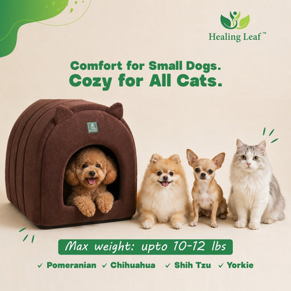 Cat Ear Bed