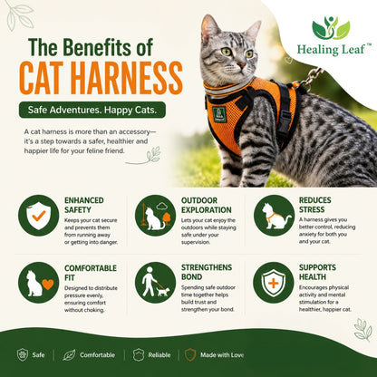 Healing Leaf Cat harness (Full body)