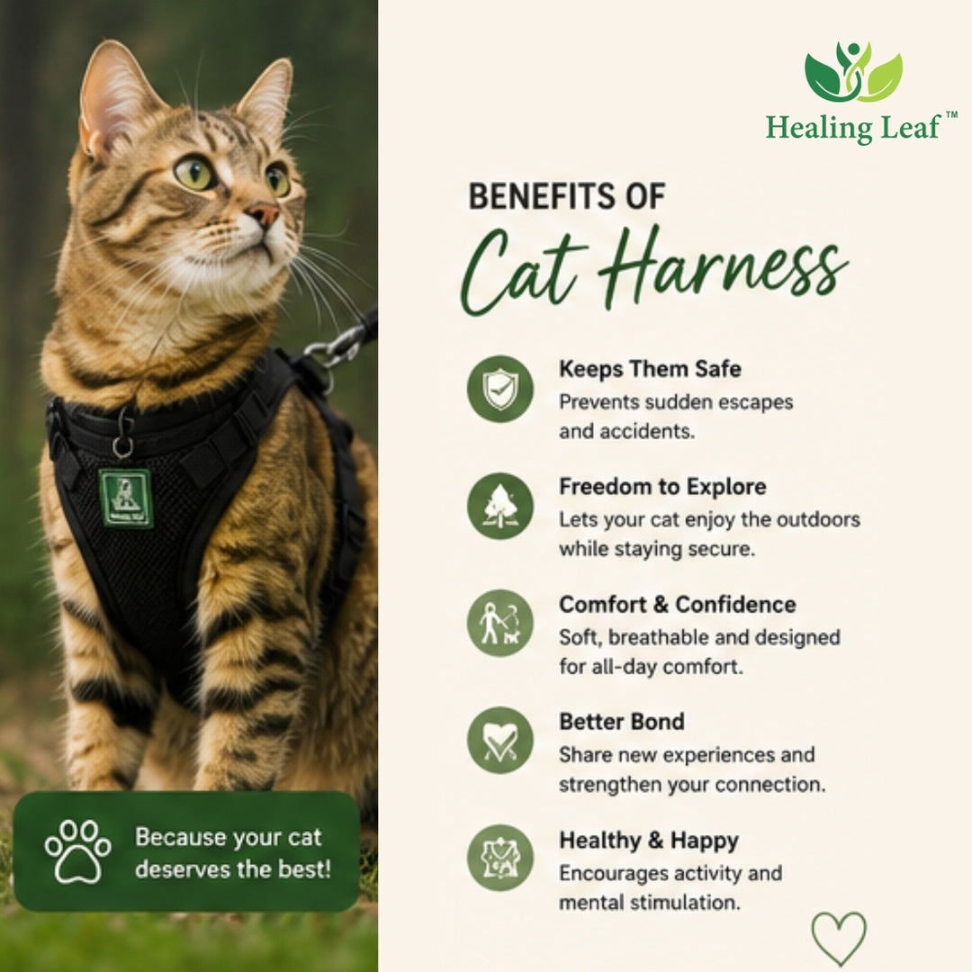 Healing Leaf Cat harness (Full body)