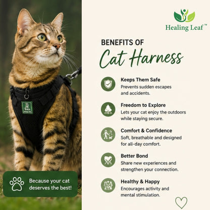 Healing Leaf Cat harness (Full body)