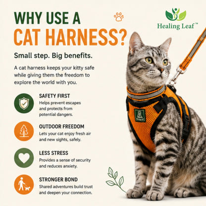 Healing Leaf Cat harness (Full body)