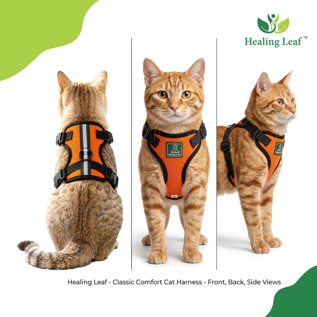 Healing Leaf Cat harness (Full body)