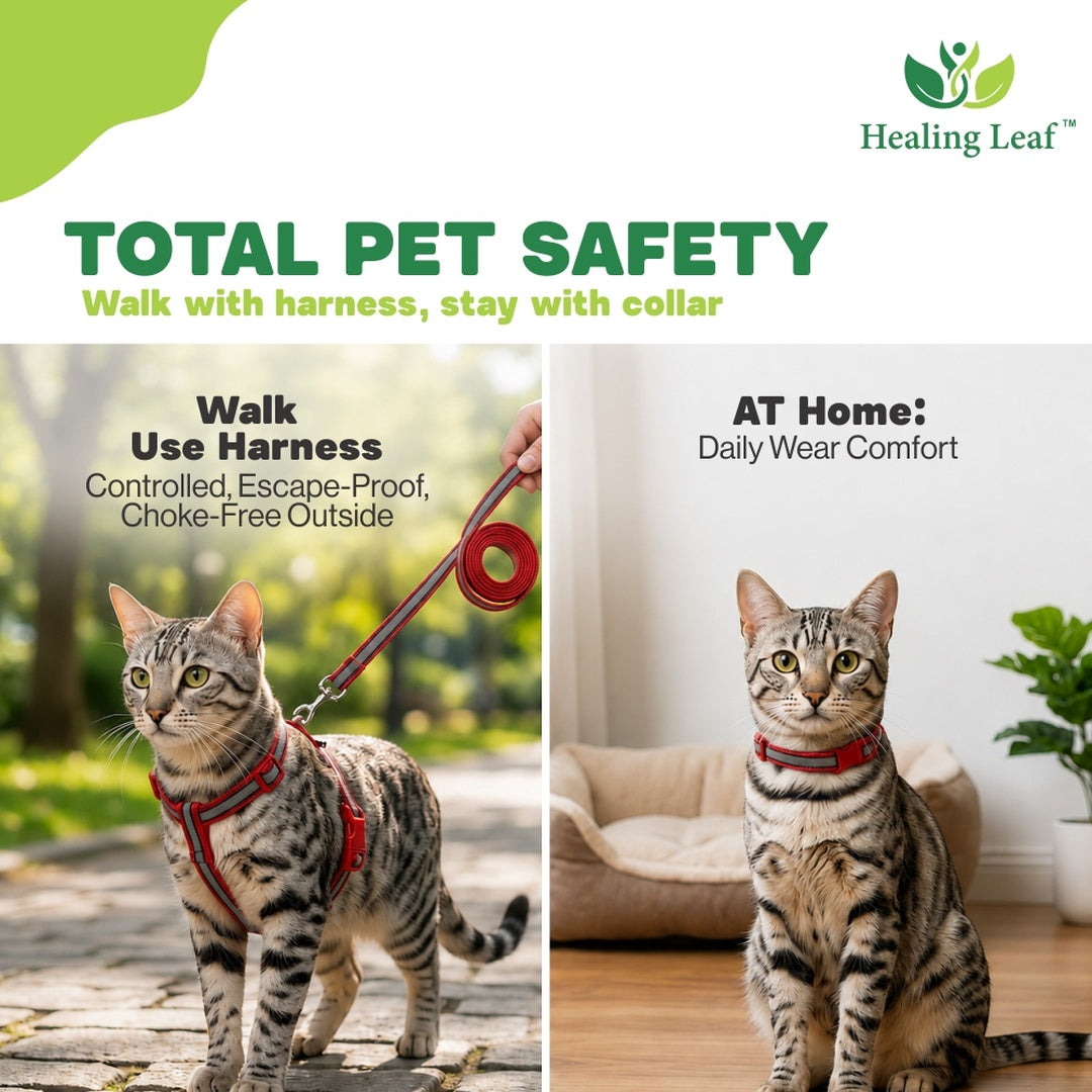 Healing Leaf Cat Harness (single strap)
