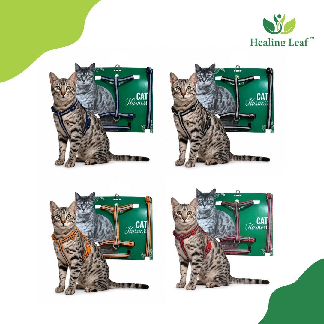 Healing Leaf Cat Harness (single strap)