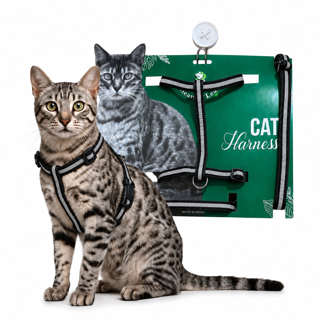 Healing Leaf Cat Harness (single strap)