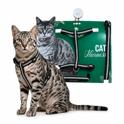 Healing Leaf Cat Harness (single strap)