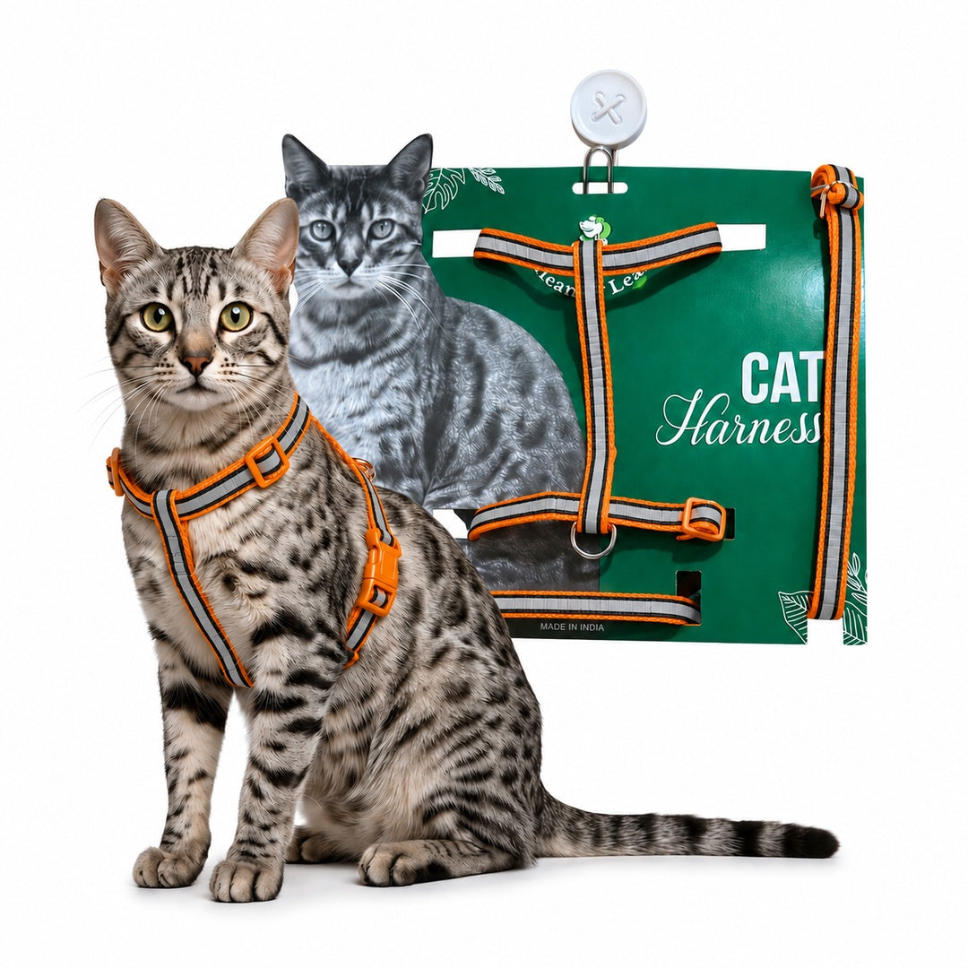 Healing Leaf Cat Harness (single strap)