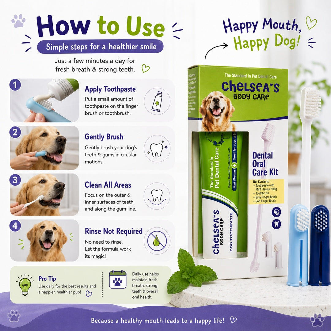 Chelsea's Dental Oral Care Kit