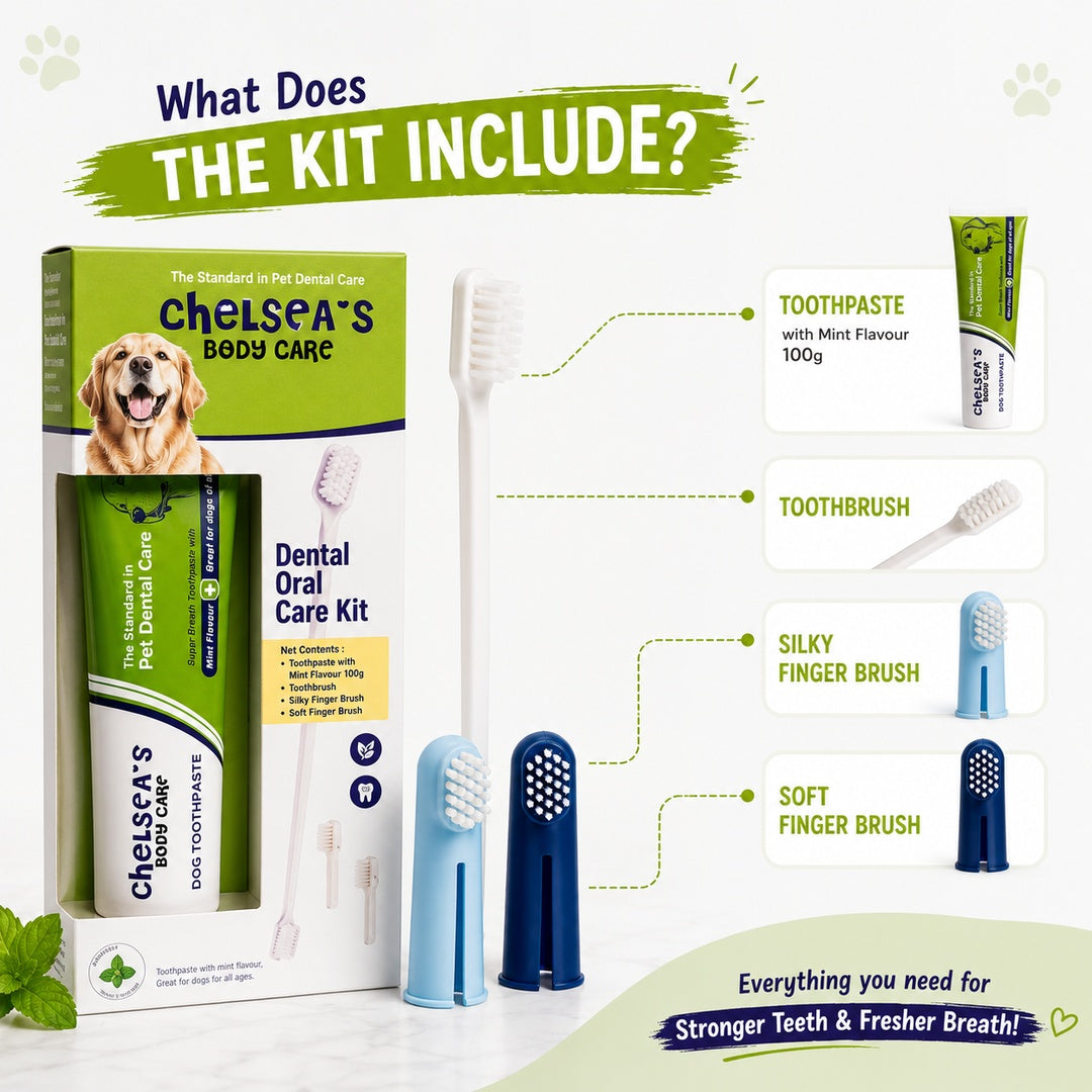 Chelsea's Dental Oral Care Kit
