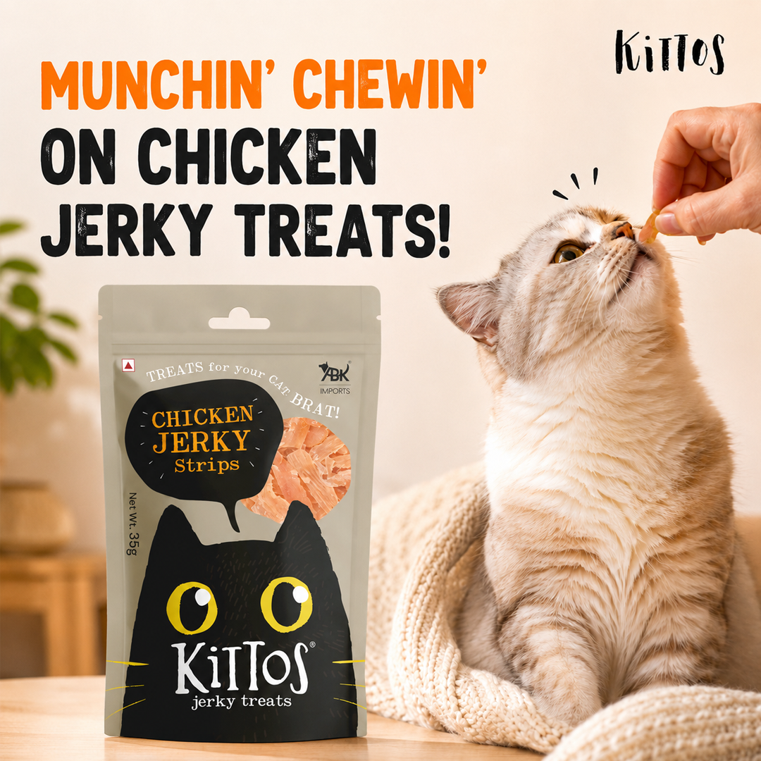 Kittos Chicken Jerky Strips Cat Treat, 35 gm