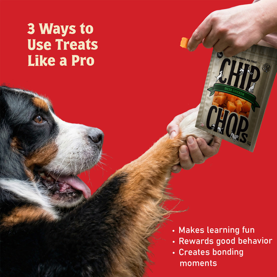 Chip Chops Diced Chicken, 70 gm