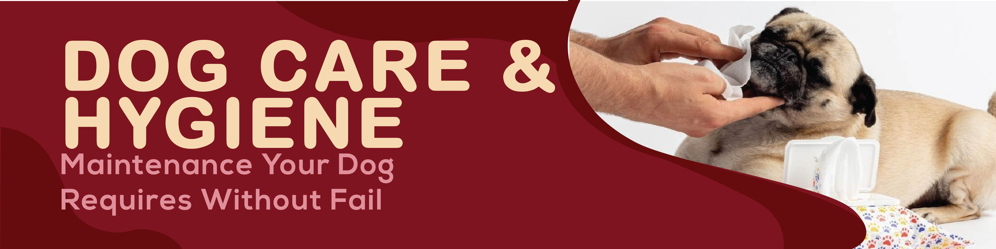 Dog Care & Hygiene