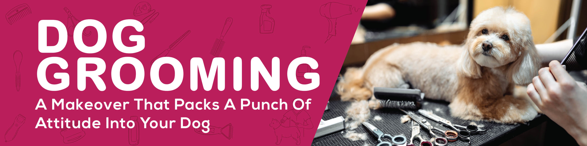 Dog Grooming