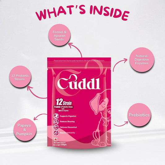 Cuddl 12-Strain Probiotic & Prebiotic Chews for Dogs with Natural Enzymes