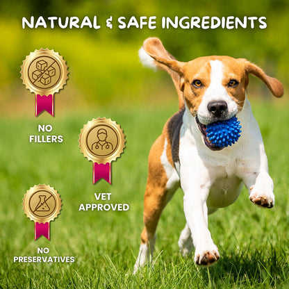 Cuddl 12-Strain Probiotic & Prebiotic Chews for Dogs with Natural Enzymes