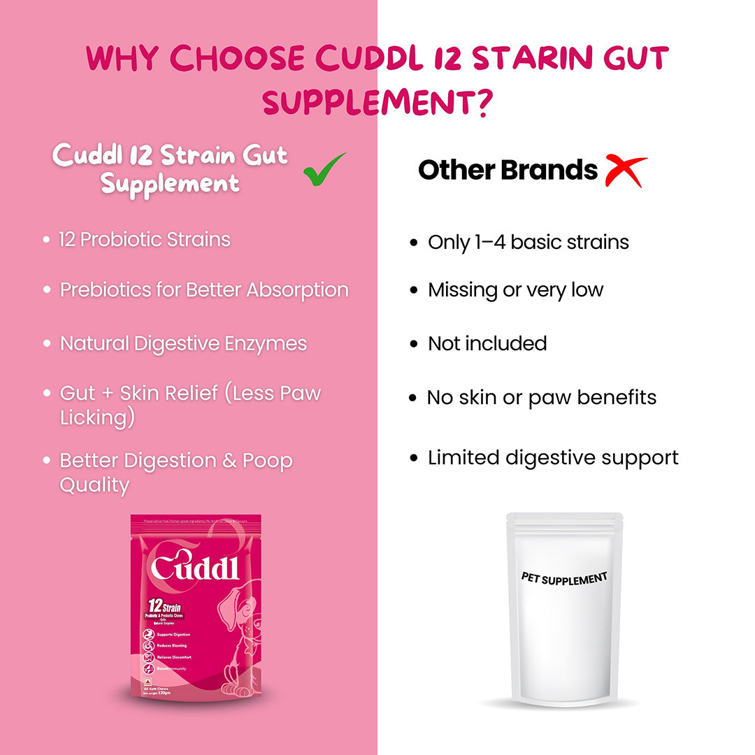 Cuddl 12-Strain Probiotic & Prebiotic Chews for Dogs with Natural Enzymes