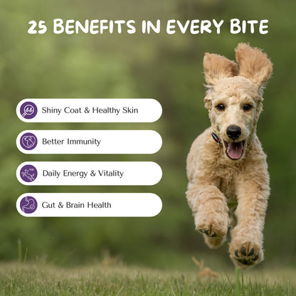 Cuddl 25-in-1 Multivitamin Chews for Dogs with Chicken Feet & Coconut Powder