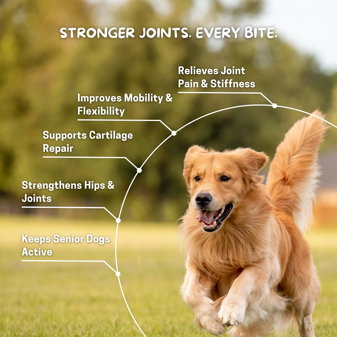 Cuddl Bone & Joint Chews for Dogs with Calcium