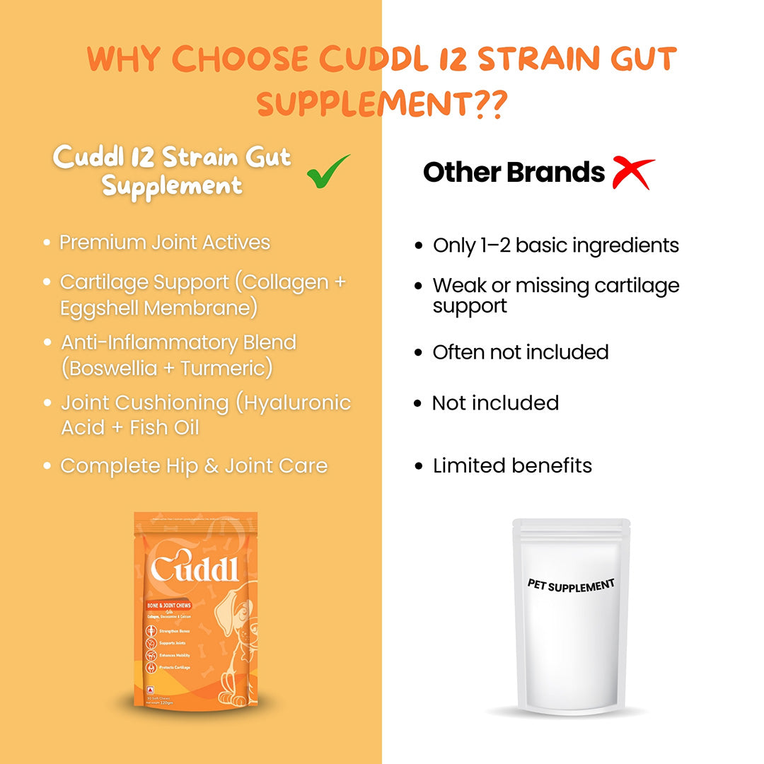 Cuddl Bone & Joint Chews for Dogs with Calcium