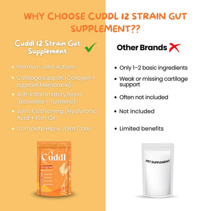 Cuddl Bone & Joint Chews for Dogs with Calcium