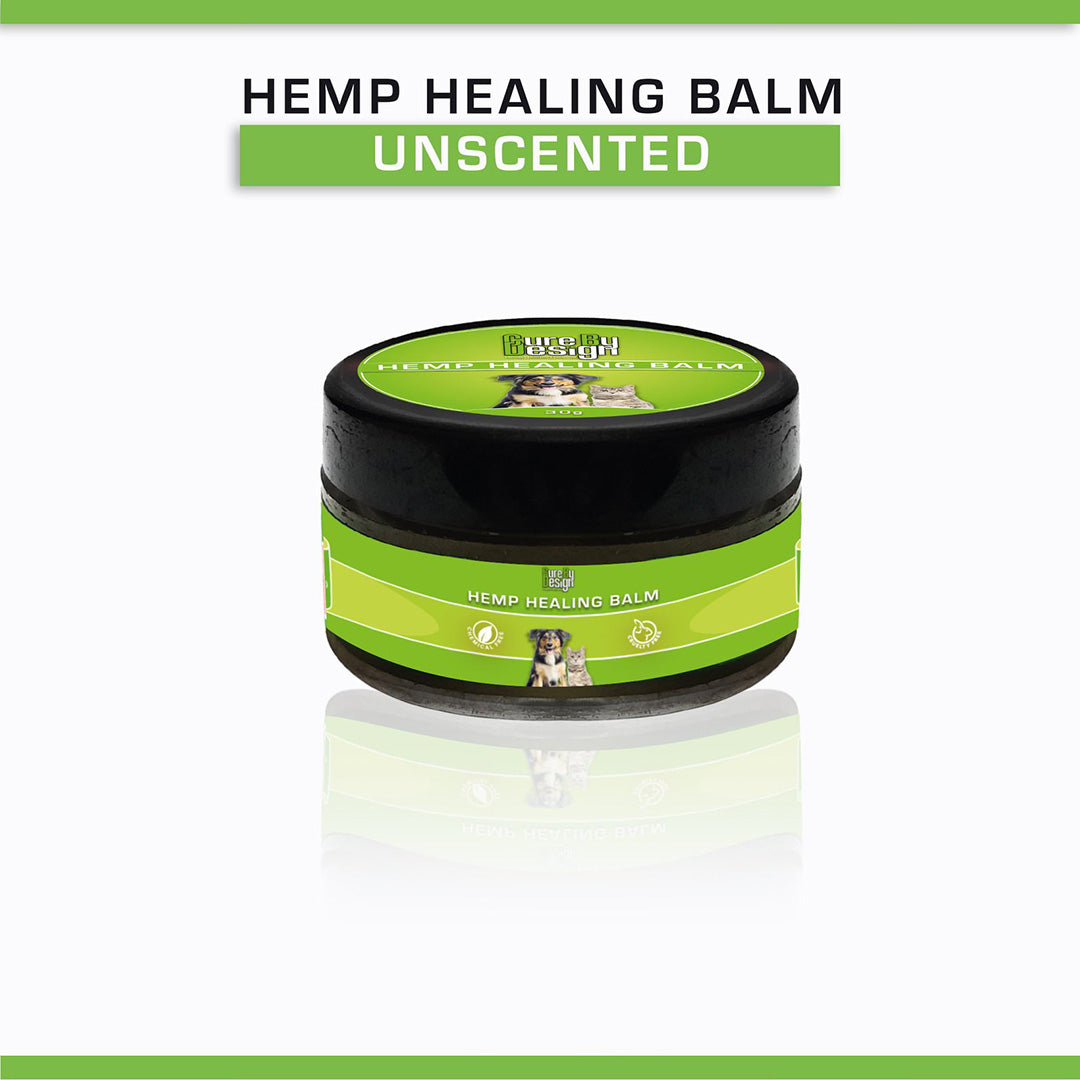 Cure By Design Hemp Healing Balm for Dogs | Unscented | 30gm
