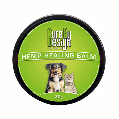 Cure By Design Hemp Healing Balm for Dogs | Unscented | 30gm