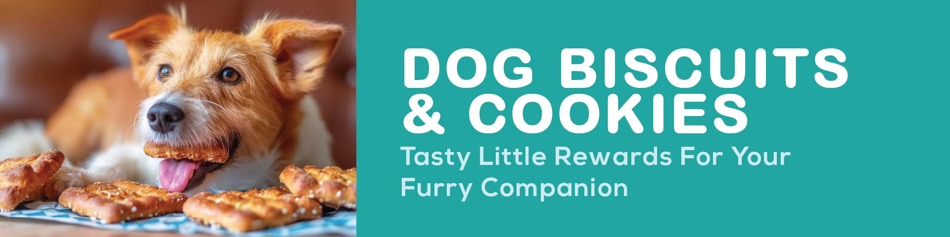 Dog Biscuits & Cookies