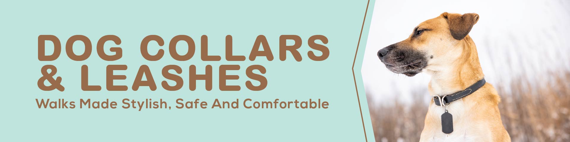 Dog Collars & Leashes