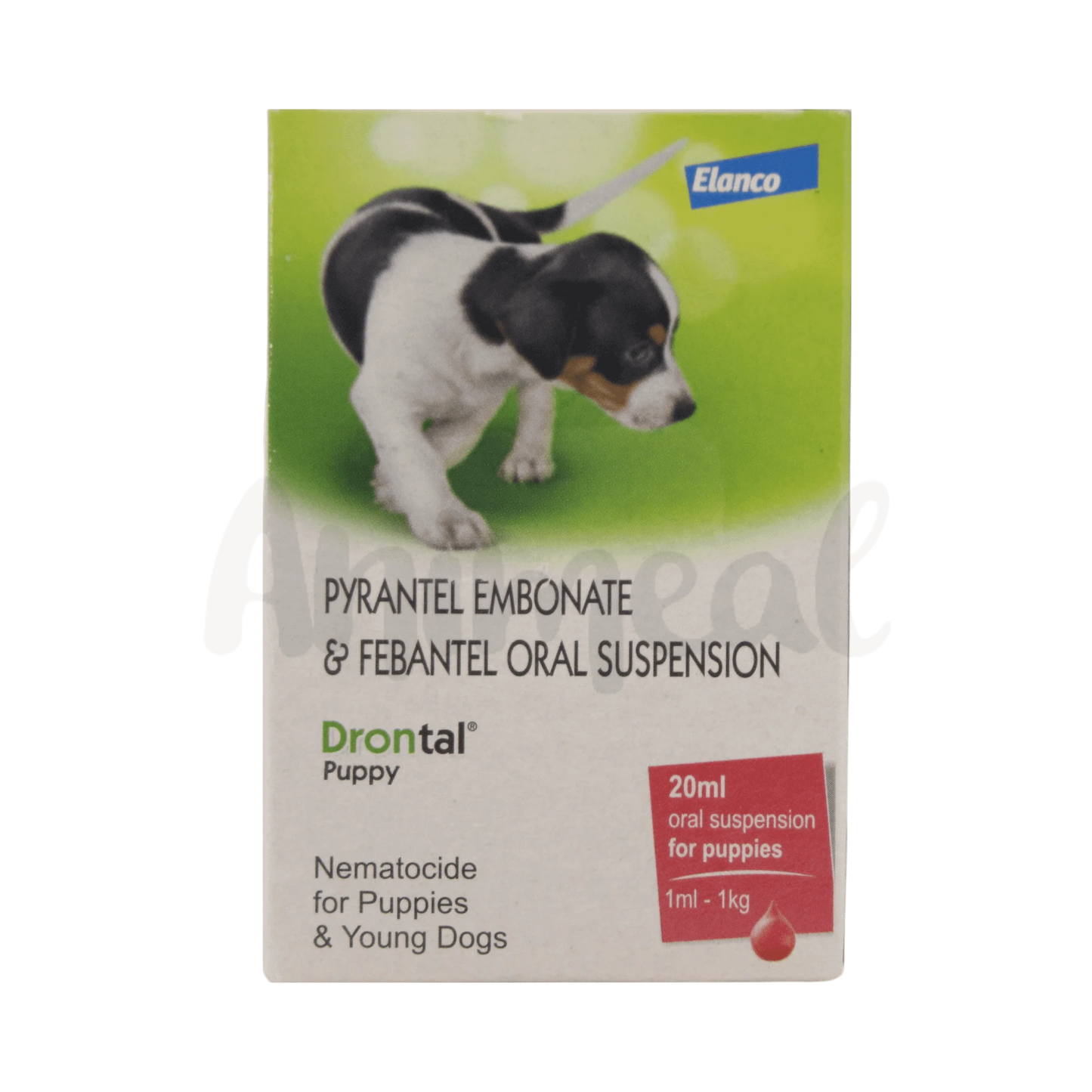 DRONTAL PUPPY SYRUP - Animeal