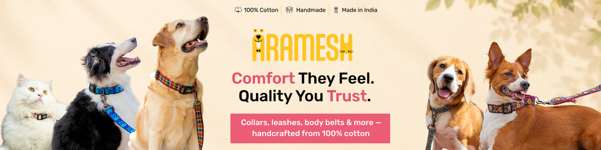 ARAMESH