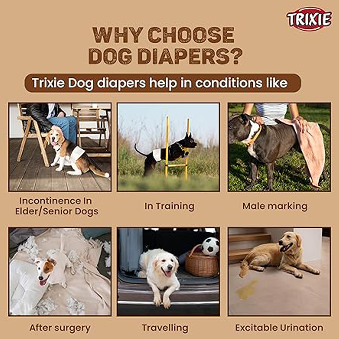 Trixie Diapers for female dogs, M–L: 36–52 cm, 12 pcs