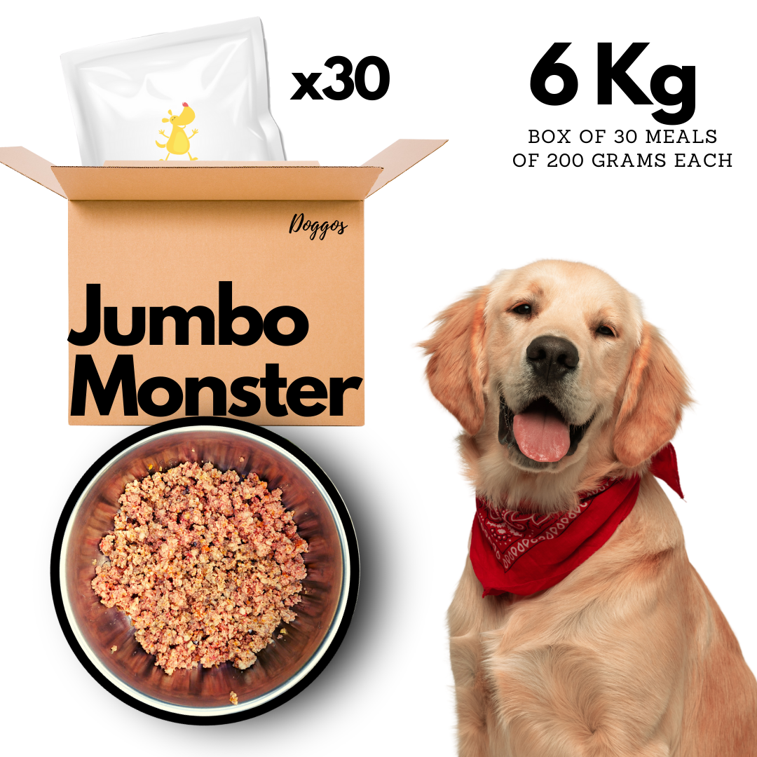 Doggos Real Fresh Adult Dog Food Monthly Pack for Big Breeds 6 Kg (30 meals x 200g)