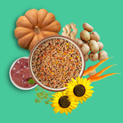 Doggos Real Fresh Adult Dog Food Travel Size Pack 800g (4x200g)