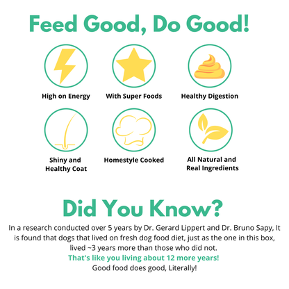 Doggos Real Fresh Adult Dog Food Trial Pack (150g)