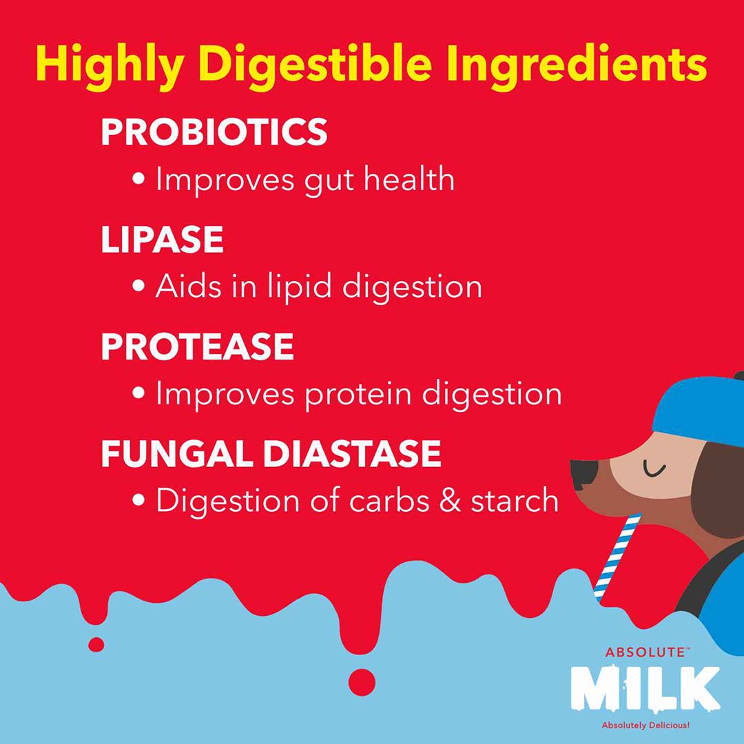 Drools Absolute Milk for Newborn Puppies, 500g