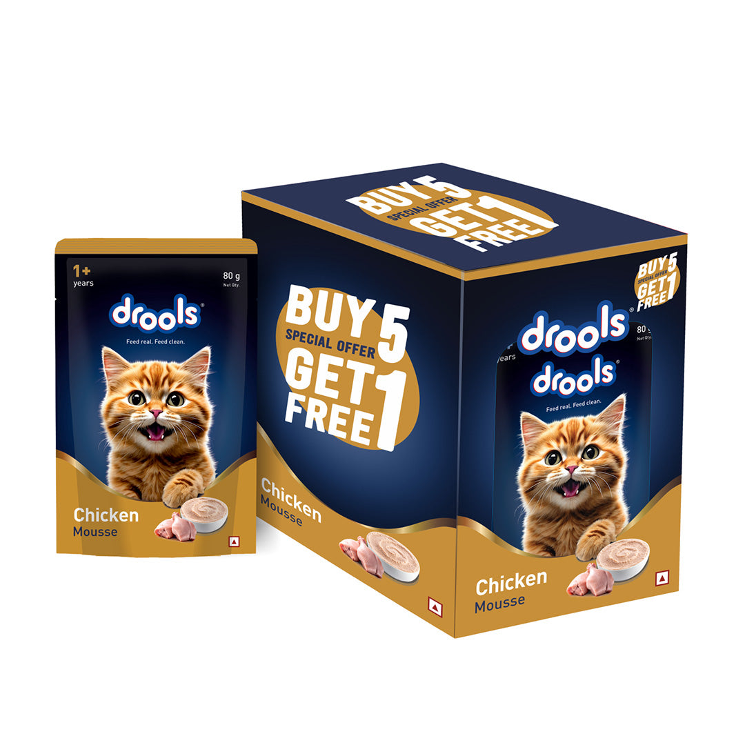 Drools Chicken Mousse Cat 80gm (5+1) Pc
