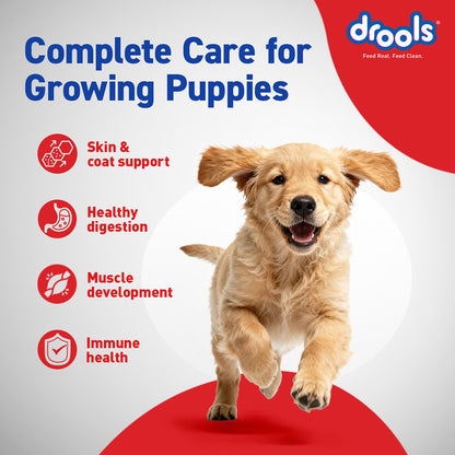 Drools Chicken Egg Puppy 1.2kg Promo